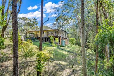 House Sold - NSW - Clarence Town - 2321 - Sun drenched, Elevated home on the River  (Image 2)