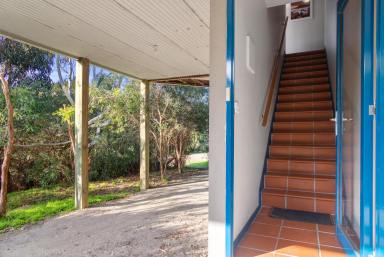 House For Sale - VIC - Sandy Point - 3959 - Architect designed tree house in premier beachside location  (Image 2)