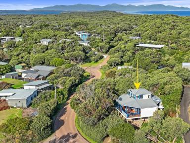 House For Sale - VIC - Sandy Point - 3959 - Architect designed tree house in premier beachside location  (Image 2)