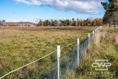 Residential Block For Sale - NSW - Glen Innes - 2370 - 5 Acres, Ready For Your Dream Home  (Image 2)