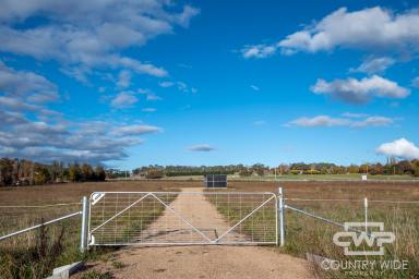 Residential Block For Sale - NSW - Glen Innes - 2370 - 5 Acres, Ready For Your Dream Home  (Image 2)