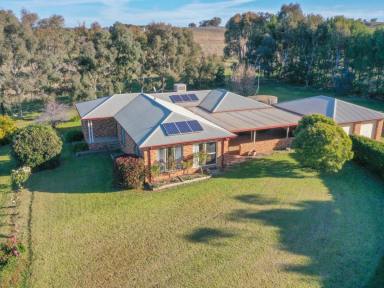 Mixed Farming Sold - NSW - Young - 2594 - "Kanangra" 30acs Only 10mins* To Town  (Image 2)