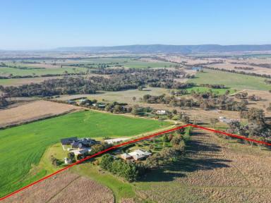 Mixed Farming Sold - NSW - Young - 2594 - "Kanangra" 30acs Only 10mins* To Town  (Image 2)