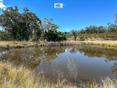 Mixed Farming Sold - NSW - Delungra - 2403 - KURRAIAN - YOUR PEACEFUL RETREAT  (Image 2)