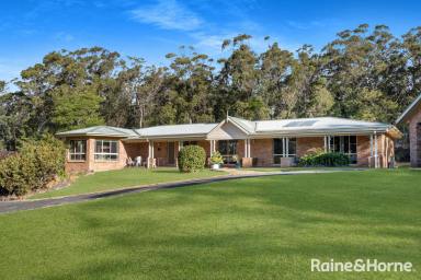 House Sold - NSW - Tapitallee - 2540 - OPEN HOUSE CANCELLED SATURDAY 25TH NOVEMBER 2023  (Image 2)