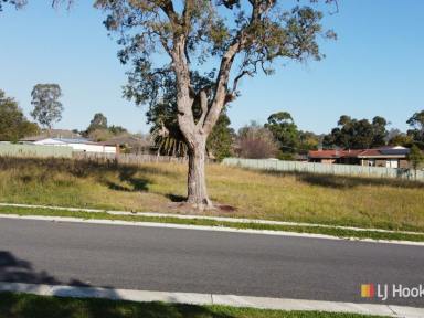 Residential Block Sold - NSW - Bega - 2550 - SOUGHT-AFTER LOCATION  (Image 2)