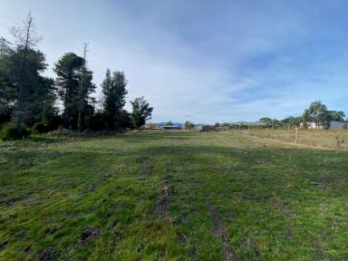 Residential Block Sold - TAS - Dover - 7117 - Rare Land Parcel Close To The Beach  (Image 2)