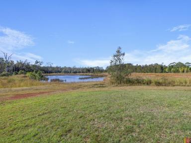Lifestyle Sold - NSW - Crescent Head - 2440 - Motivated Vendors - 24 Acres Close to Crescent Head!  (Image 2)
