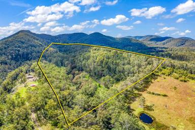 Lifestyle Sold - NSW - Craven - 2422 - Private Rural Retreat  (Image 2)