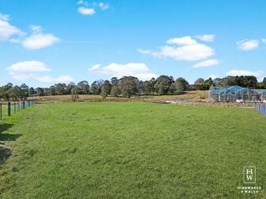 Residential Block Sold - NSW - Moss Vale - 2577 - Level Acre Block - Plans Available  (Image 2)