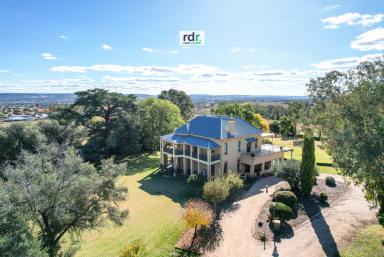 House For Sale - NSW - Inverell - 2360 - REMEMBER "ROSYLN" - A RARE FIND  (Image 2)