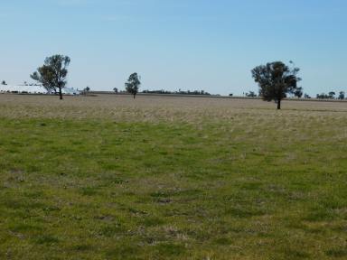 Cropping Sold - SA - Wolseley - 5269 - Prime Wolseley Country  (Image 2)
