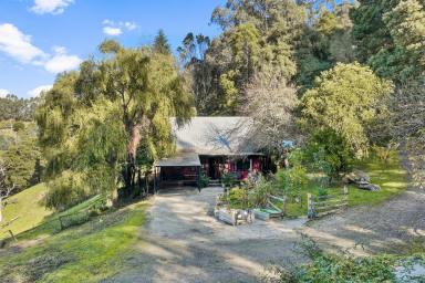 Lifestyle For Sale - VIC - Allambee - 3823 - Tranquil Oasis on 5 Acres: Charming Retreat in Allambee  (Image 2)