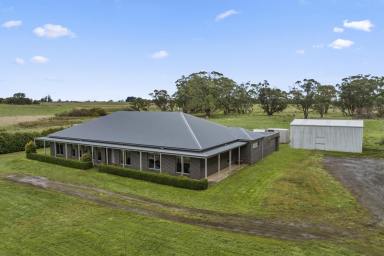 House Sold - VIC - Springbank - 3352 - 2012 Architecturally designed, master built 6 bedroom homestead on 30 Acres  (Image 2)