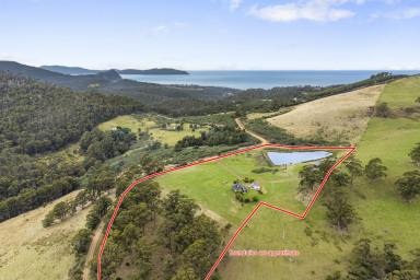 House For Sale - TAS - Kellevie - 7176 - Is it Time For Your Own 'Escape to the Country'? Two Dwellings Set Across Approximately 14 acres Including Your Own 'Turn-key Airbnb'.  (Image 2)