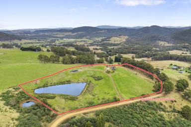 House For Sale - TAS - Kellevie - 7176 - Is it Time For Your Own 'Escape to the Country'? Two Dwellings Set Across Approximately 14 acres Including Your Own 'Turn-key Airbnb'.  (Image 2)