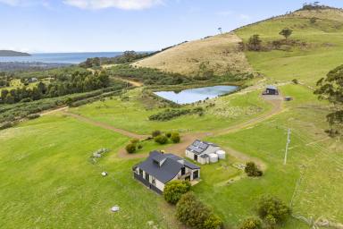 House For Sale - TAS - Kellevie - 7176 - Two Dwellings Set Across Approx. 14 acres Including Your Own 'Turn-key Airbnb'.  (Image 2)