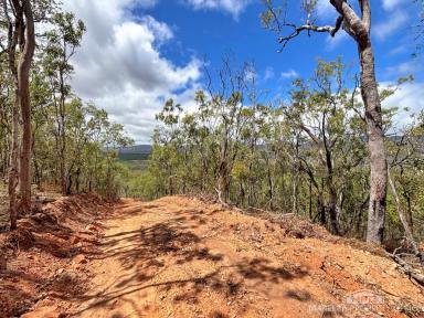 Lifestyle For Sale - QLD - Mareeba - 4880 - Creek Frontage, Elevated Views - Lifestyle & Grazing Block – Cairns Side of Mareeba  (Image 2)