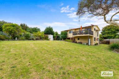 House Sold - VIC - Lakes Entrance - 3909 - Perfectly Tucked Away In A Grove  (Image 2)