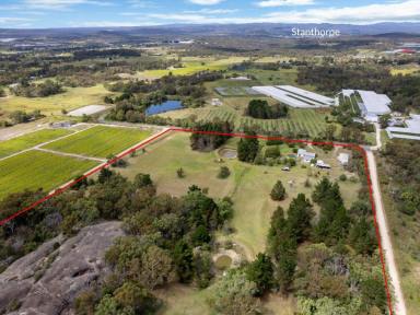 Lifestyle Sold - QLD - Applethorpe - 4378 - OLD APRICOT ORCHARD COUNTRY, LIFESTYLE within the GRANITE BELT  (Image 2)