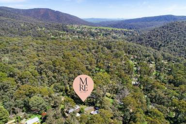 Residential Block Sold - VIC - Sawmill Settlement - 3723 - AMONGST THE GUM TREES AT THE BASE OF MT BULLER  (Image 2)