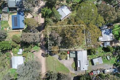 Residential Block Sold - VIC - Sawmill Settlement - 3723 - AMONGST THE GUM TREES AT THE BASE OF MT BULLER  (Image 2)