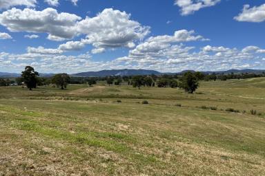 Residential Block For Sale - VIC - Mansfield - 3722 - READY TO BUILD YOUR DREAM HOME!  (Image 2)