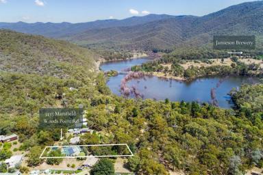 House Sold - VIC - Jamieson - 3723 - Serene Lifestyle in the Jamieson Valley!  (Image 2)