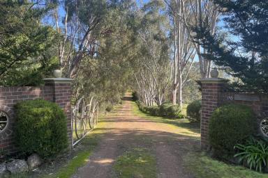 Acreage/Semi-rural For Sale - VIC - Mansfield - 3722 - Escape to your own private oasis on McMillan Point Drive.  (Image 2)