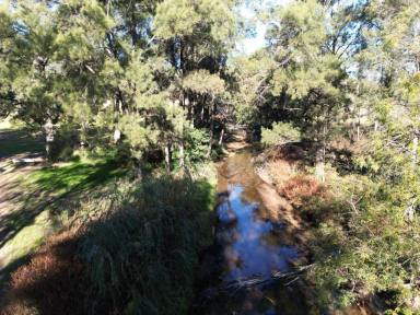 Lifestyle Sold - nsw - Martindale - 2328 - Ideal Horse Property  (Image 2)