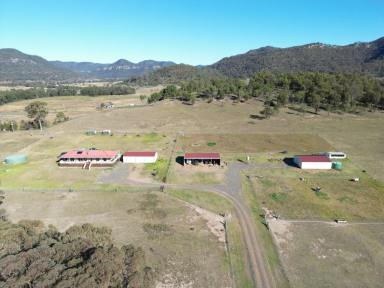 Lifestyle Sold - nsw - Martindale - 2328 - Ideal Horse Property  (Image 2)
