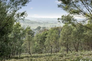 Lifestyle Sold - VIC - Creightons Creek - 3666 - 27 Acres - Nature Lover's Paradise  (Image 2)