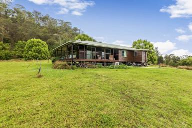 Acreage/Semi-rural For Sale - NSW - Jiggi - 2480 - Small Farm - An Affordable Beauty  (Image 2)