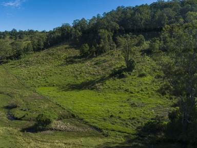 Acreage/Semi-rural For Sale - NSW - Boorabee Park - 2480 - Lifestyle Property On 130 Acres.  (Image 2)