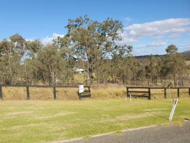 Residential Block Sold - NSW - Muswellbrook - 2333 - LARGE RURAL RESIDENTIAL LOT ALL FULLY SERVICED AND READY TO BUILD ON  (Image 2)