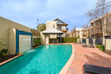 Apartment Sold - WA - Leederville - 6007 - Stunning, Spacious, Urban Oasis - Ready to move in!  (Image 2)