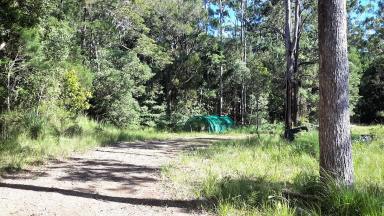 Residential Block Sold - QLD - Ravenshoe - 4888 - 31 acres of wilderness  (Image 2)