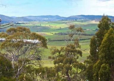 Residential Block For Sale - TAS - Sorell - 7172 - Gorgeous Views, Come Build Your Own Piece of Paradise  (Image 2)