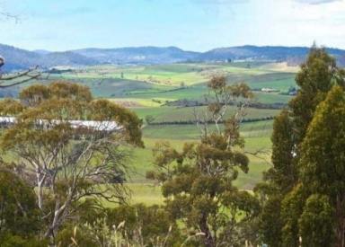 Residential Block For Sale - TAS - Sorell - 7172 - Gorgeous Views, Come Build Your Own Piece of Paradise  (Image 2)