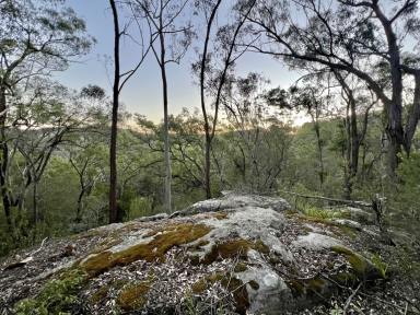 Lifestyle For Sale - NSW - Wollombi - 2325 - Perfect Weekender in a Priceless Location!  (Image 2)