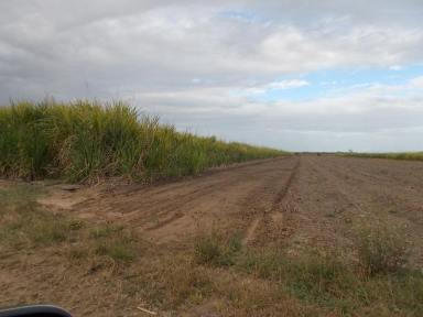Cropping For Sale - QLD - Ayr - 4807 - Cane Farm For Sale  (Image 2)