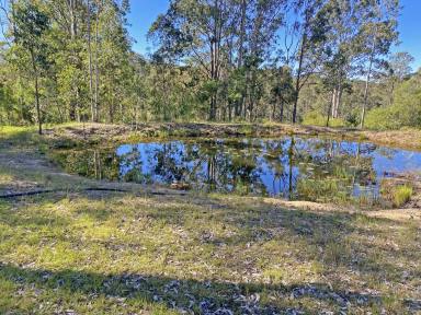 Acreage/Semi-rural Sold - NSW - Kimbriki - 2429 - Introducing Kimbriki Farmlet: A Tranquil Retreat with Endless Possibilities!  (Image 2)