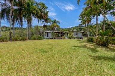 House For Sale - QLD - Julatten - 4871 - Introducing Sunbird Retreat - A Lifestyle Oasis  (Image 2)