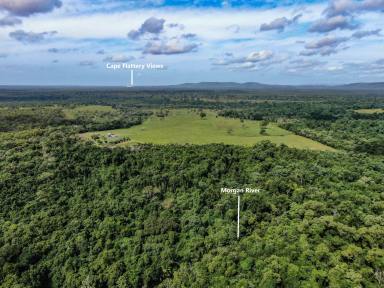 Mixed Farming For Sale - QLD - Cooktown - 4895 - CAPE YORK'S FINEST 1500 ACRES  (Image 2)