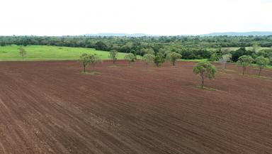 Mixed Farming For Sale - QLD - Cooktown - 4895 - 2583 Isabella McIvor Road
Ready for Cattle Grazing & Fattening  (Image 2)