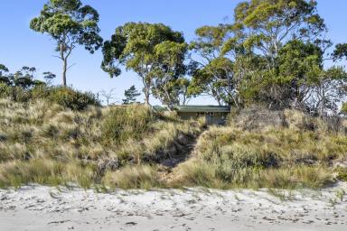 House Sold - TAS - Sloping Main - 7186 - Are you looking for Beachfront? Happy to do a Reno? Or just start again or enjoy your beachfront opportunity now and renovate later?  (Image 2)