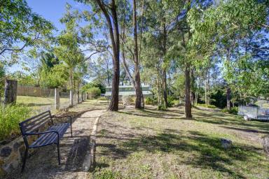 Residential Block For Sale - NSW - Krambach - 2429 - Picturesque Building Block  (Image 2)