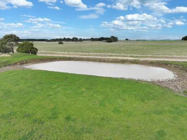 Livestock Sold - VIC - Warncoort - 3243 - PREMIER COUNTRY PROPERTY - PERFECT FOR OUTPADDOCK OR INVESTMENT  (Image 2)