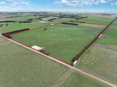 Livestock Sold - VIC - Warncoort - 3243 - PREMIER COUNTRY PROPERTY - PERFECT FOR OUTPADDOCK OR INVESTMENT  (Image 2)