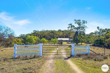Lifestyle Sold - NSW - Denman - 2328 - "PIRRAMIMMA" - Moon and Stars  (Image 2)